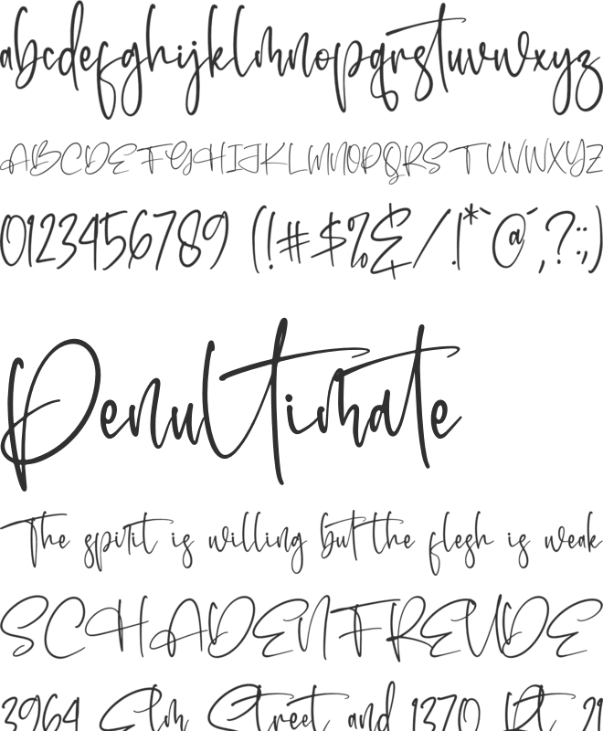 Handwritten Signature font preview