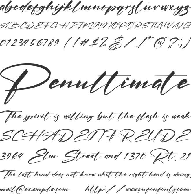 Patrena Rolane font preview