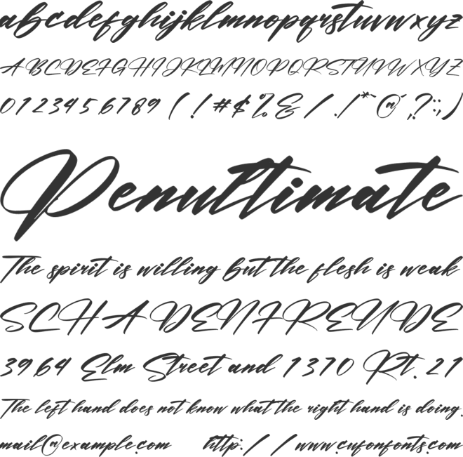 Rockesta Brush font preview