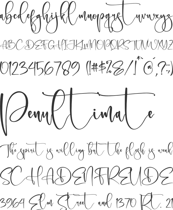 Delgonte font preview