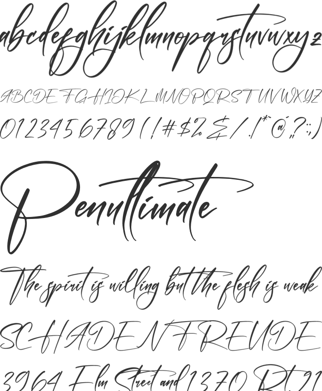 Ramontegral Signature font preview