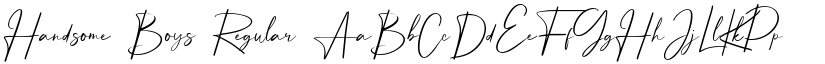 Handsome Boys Regular font