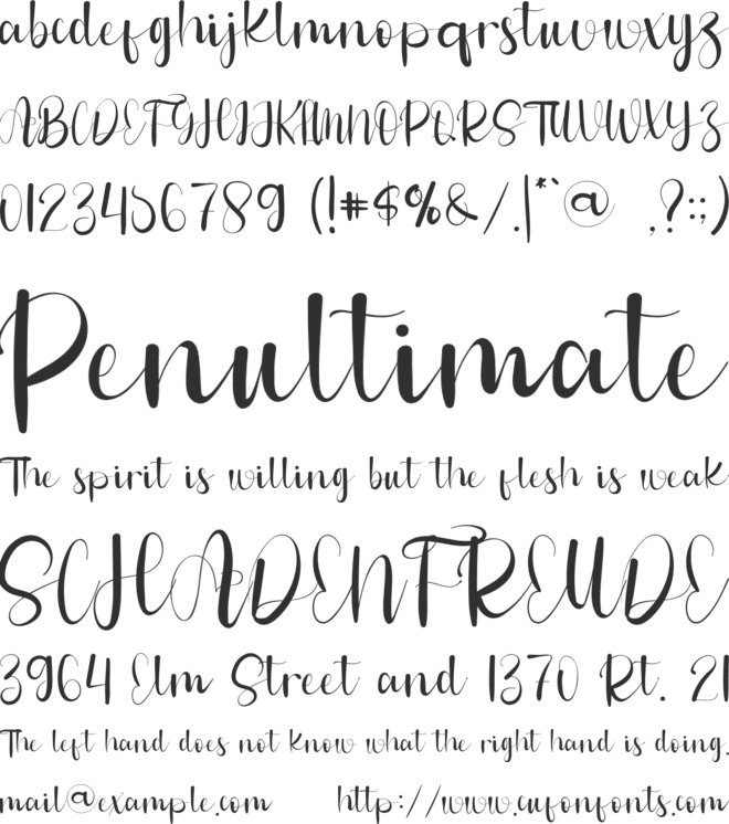 Newyork font preview