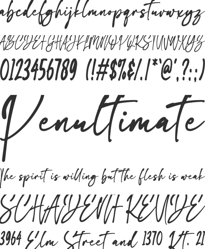 The flash font preview