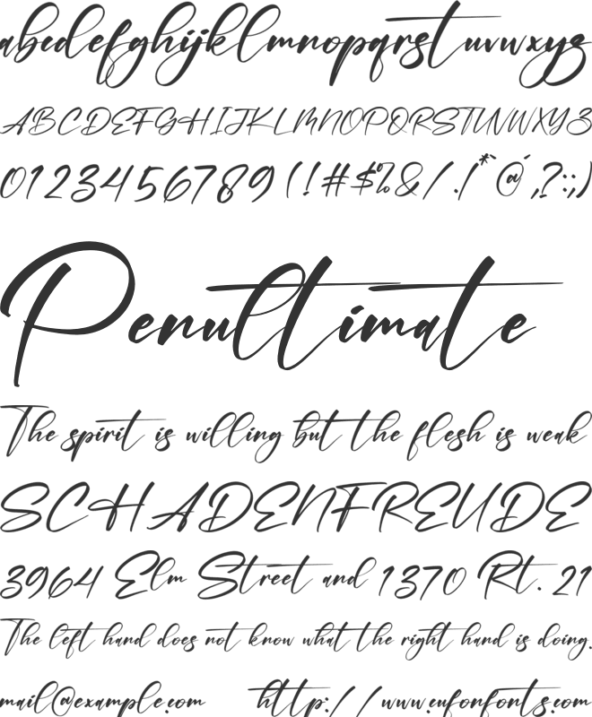 Holdiger font preview