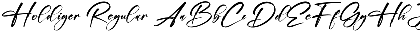 Holdiger font download