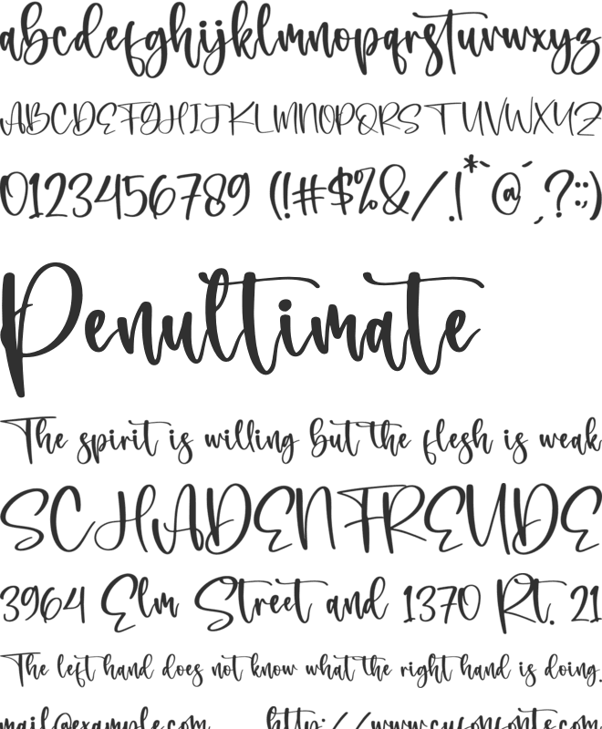 Bonistha Daily font preview