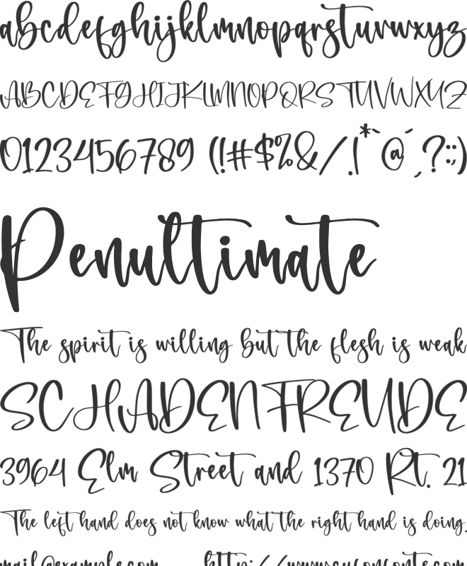Bonistha Daily font preview