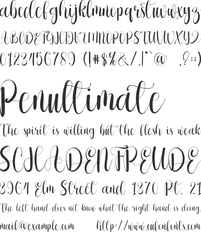 The Paradise font preview