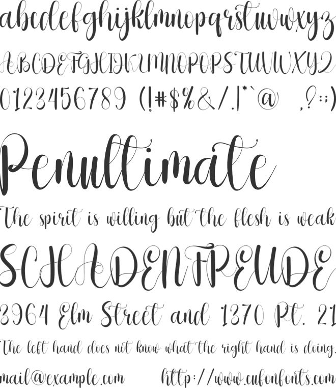The Paradise font preview