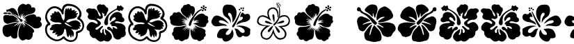 Hibiscus font