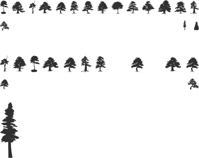 Subikto Tree font preview