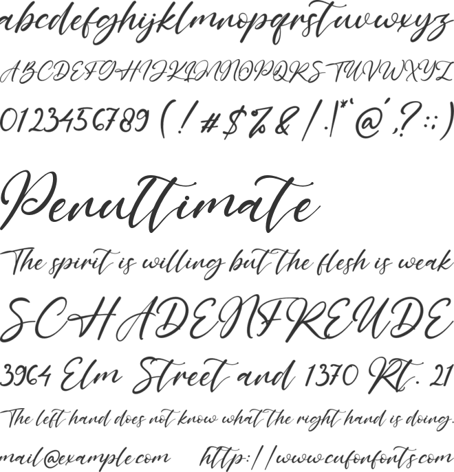 Windy Lane font preview