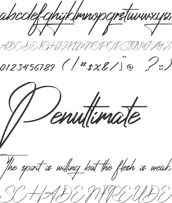 Ambawang Signature font preview
