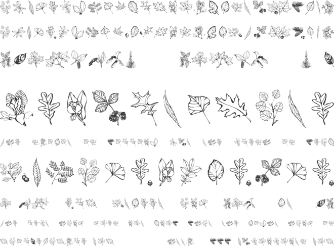 Arboris Folium font preview