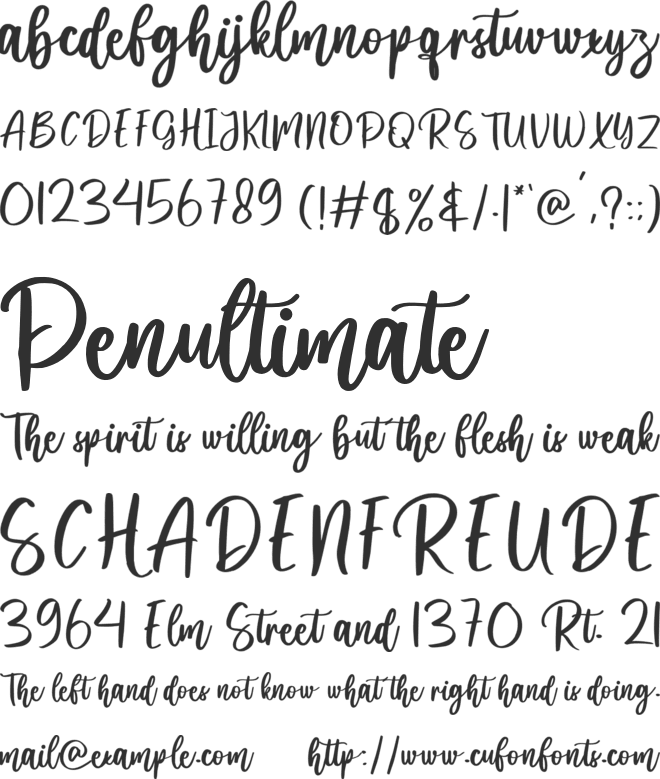 metadine font preview