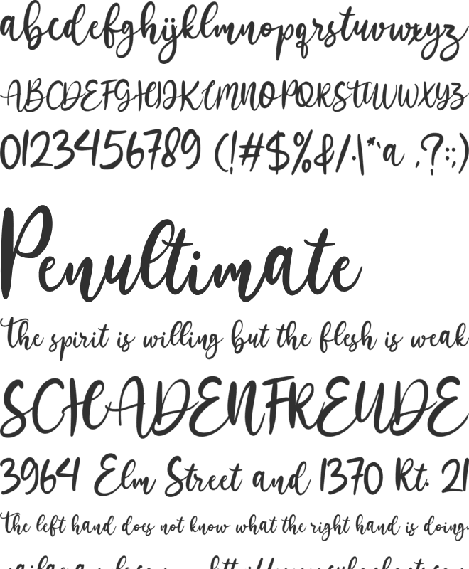 Nighters font preview