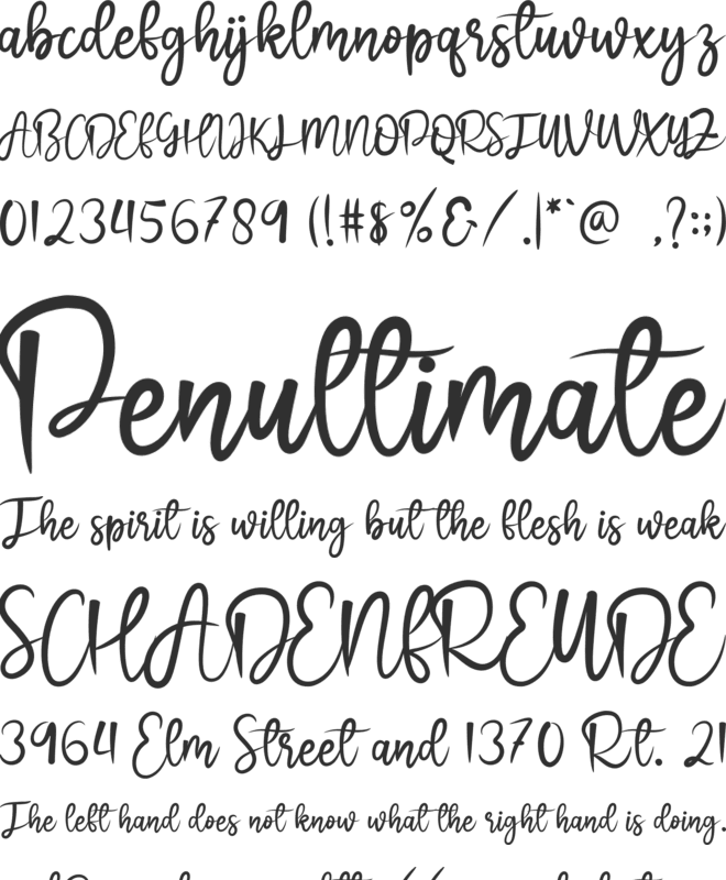 Winter Flower font preview