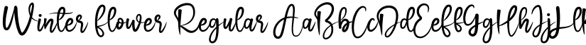 Winter Flower Regular font