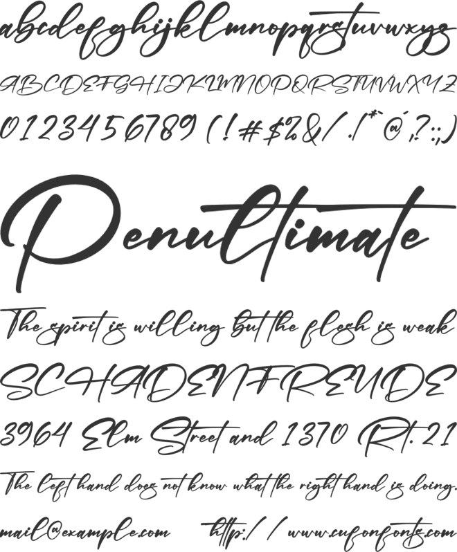 Fonticha font preview