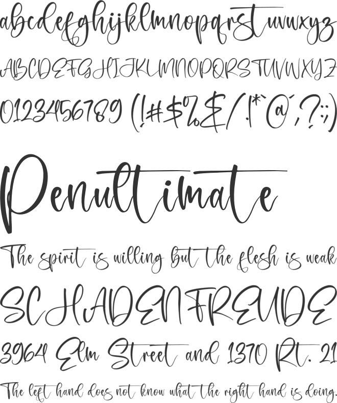 Ronatesla Sintera font preview