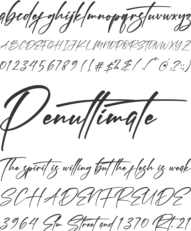 Banetigra font preview
