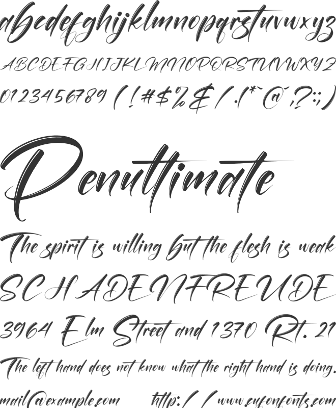 Grontfess Brushela font preview