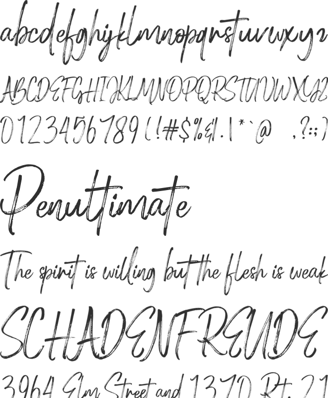 Holingston font preview