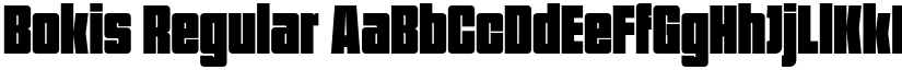Bokis Regular font