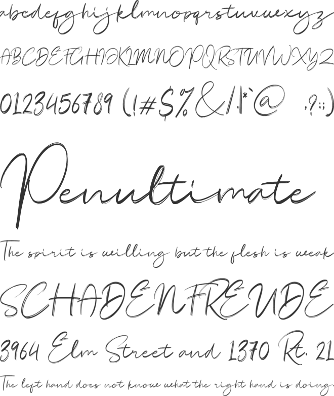 Rodetta font preview