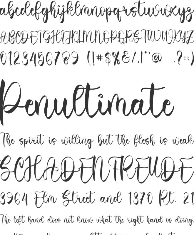Winter Vintage font preview