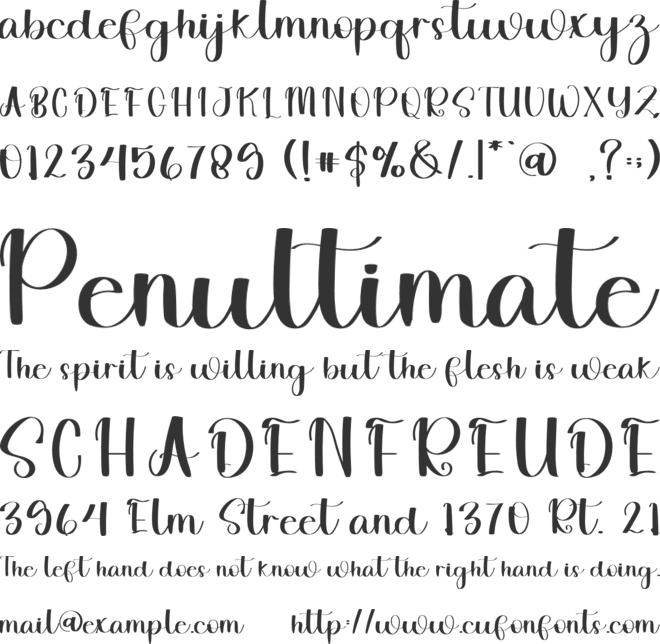 Wedding Signature font preview