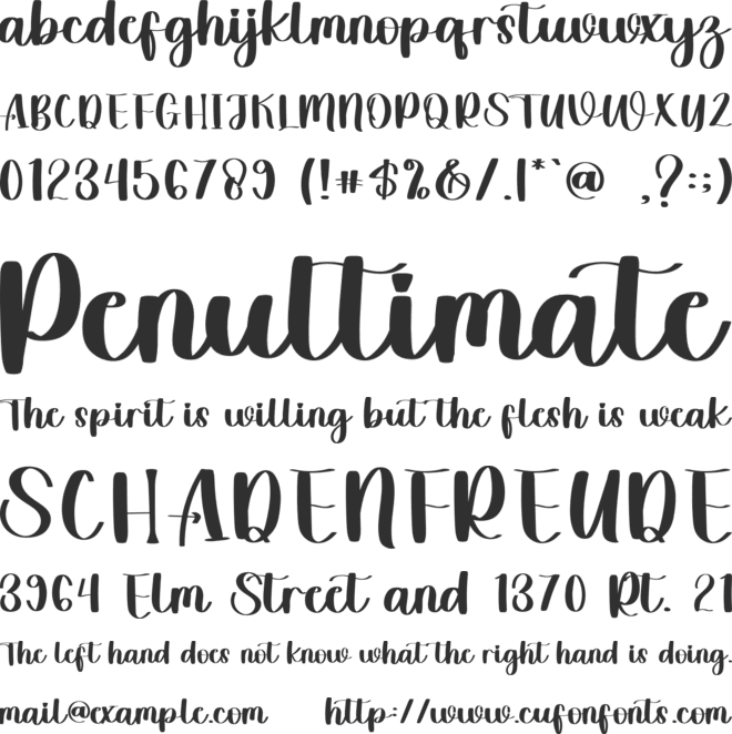 Signature Christmas font preview