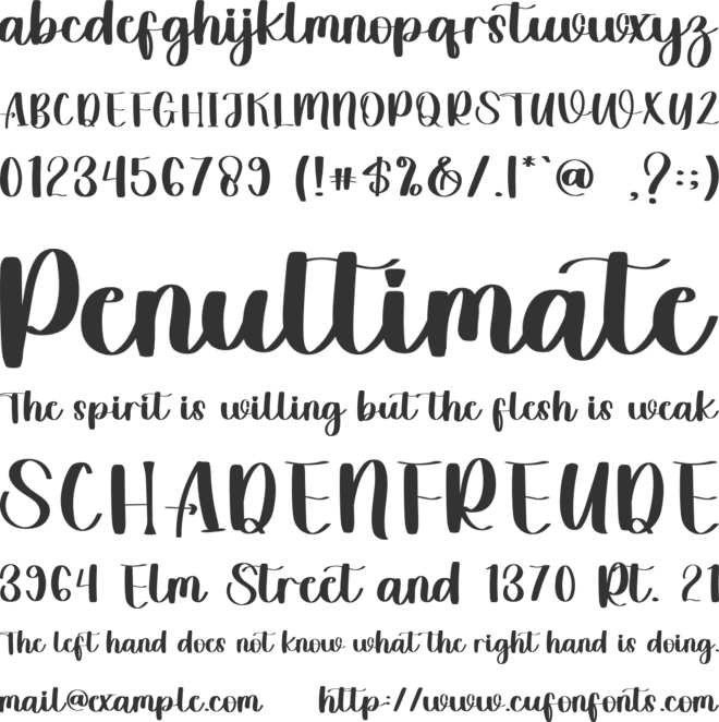 Signature Christmas font preview