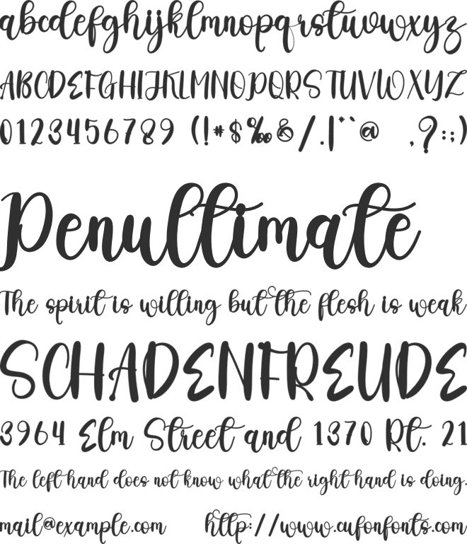 Island Paradise font preview