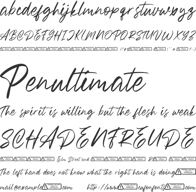 Bronskiy font preview