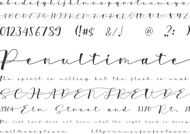 Bianca Eliza font preview