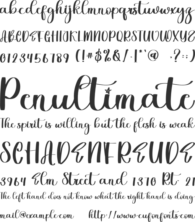 Wedding Christmas font preview