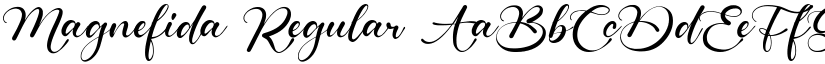 Magnefida Regular font