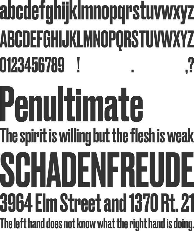 Druk Trial font preview