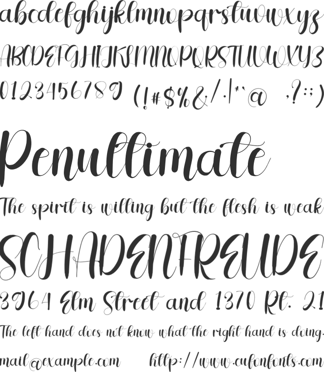 Qualitytime font preview