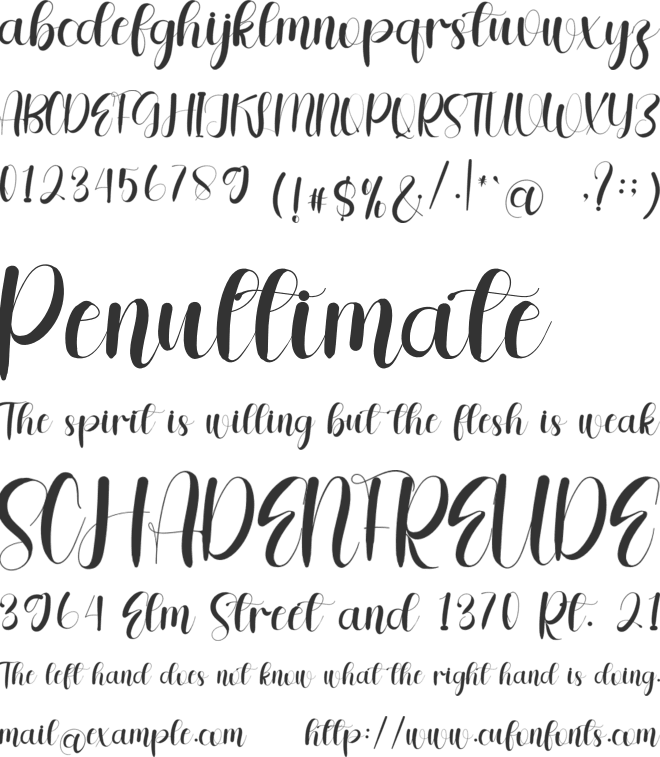 Qualitytime font preview