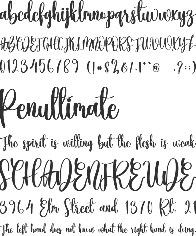 Biscuits font preview