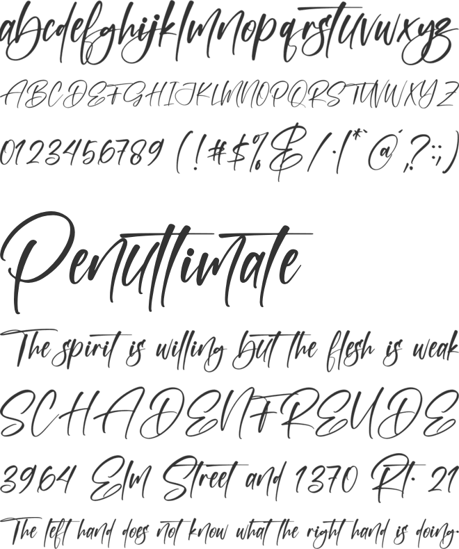 Silverstone font preview