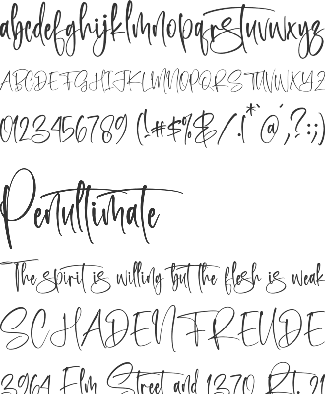 Semilya Fontera font preview