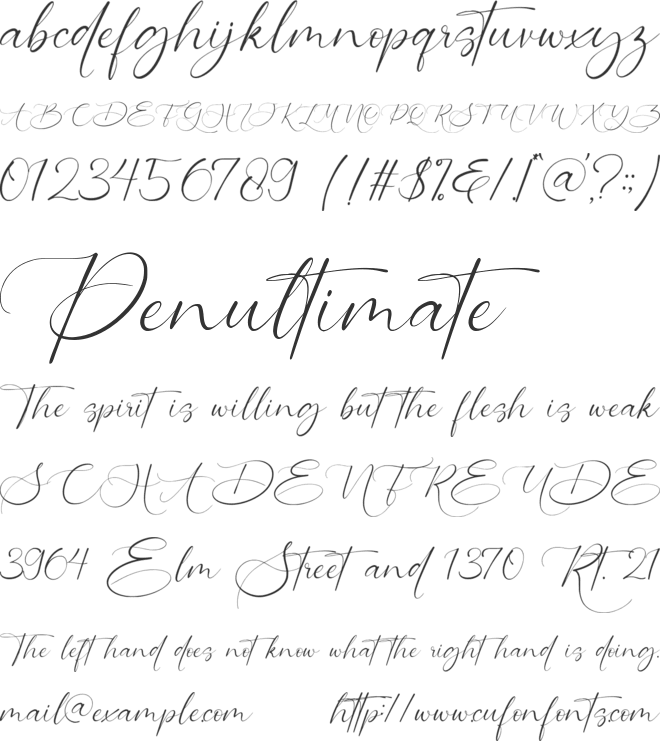 Aleanderica font preview