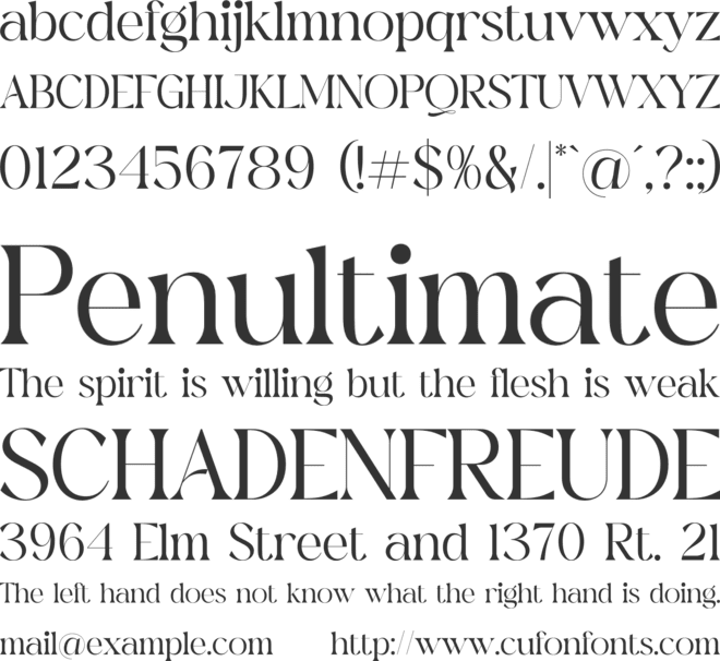 firgine font preview