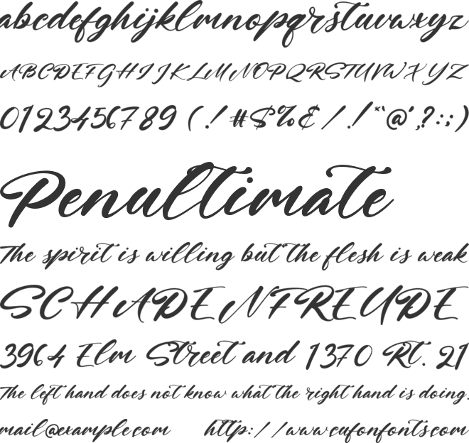 Jhon Brewster font preview