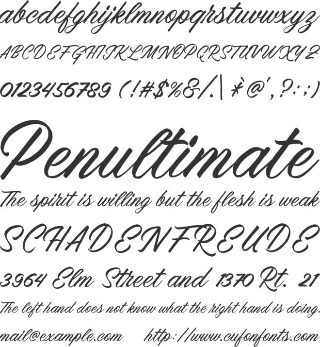 Menleader font preview