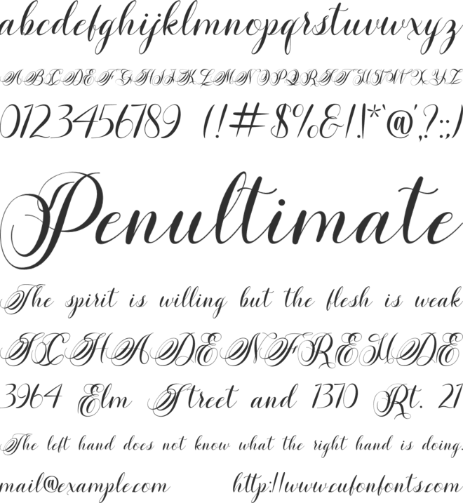 Friday night font preview